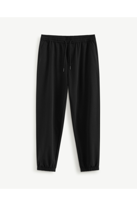 Quần jogger nam. Jogger - 10F24PJO001