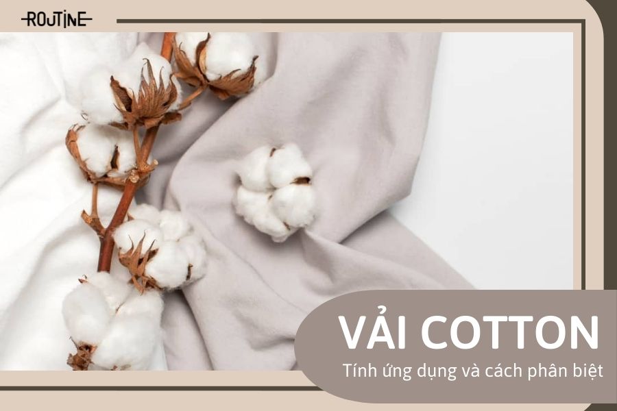 Ứng dụng và cách phân biệt các loại vải Cotton