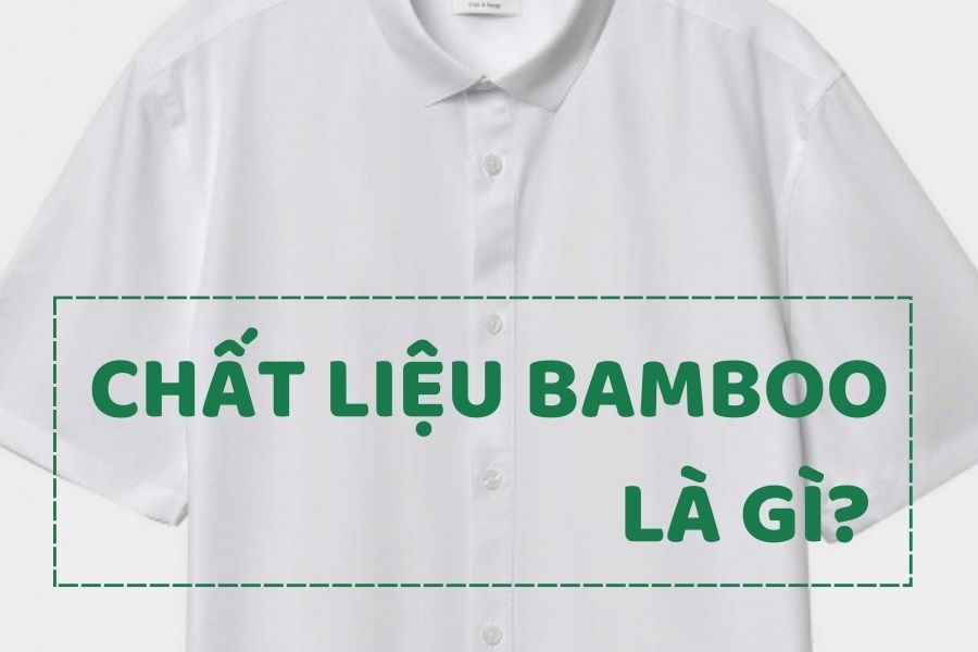 Chất liệu Bamboo là gì? Đặc tính của vải sợi tre 