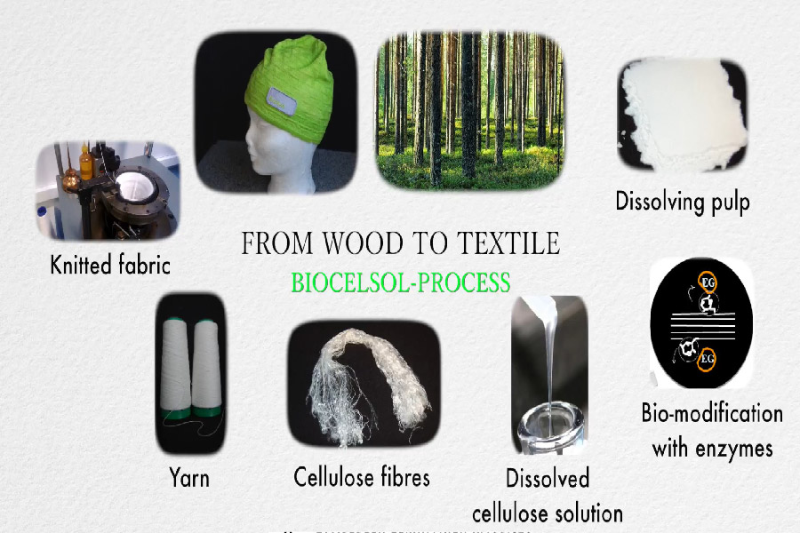 Quy trình sản xuất vải Rayon từ nguyên liệu tự nhiên. 