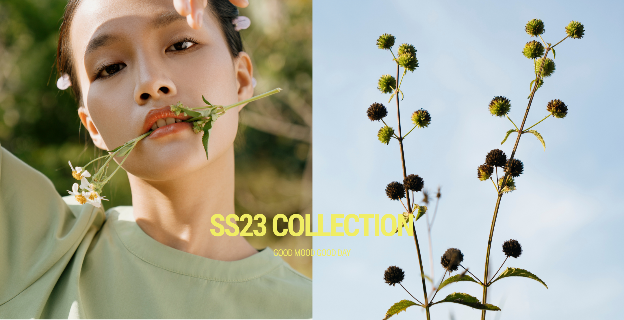 SS23 Collection women - BST Quần áo thời trang mùa hè